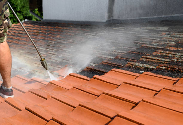 Best House Pressure Washing  in Oberlin, OH